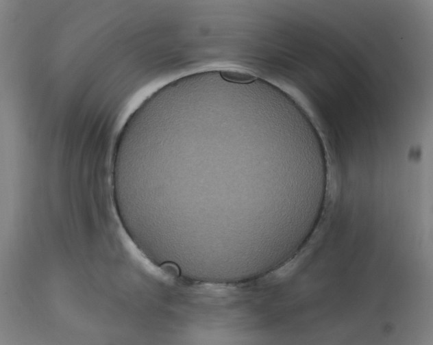 X0000114720910200911121730