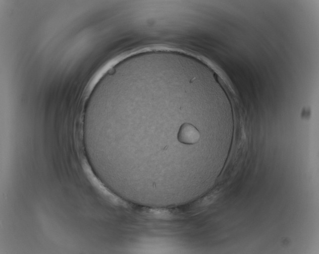 X0000114720911200911121730