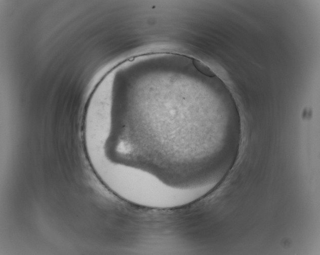 X0000114720912200911121730