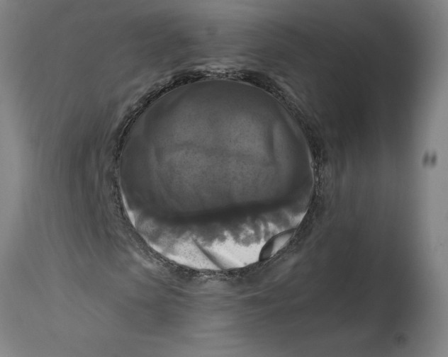 X0000114720913200911121729