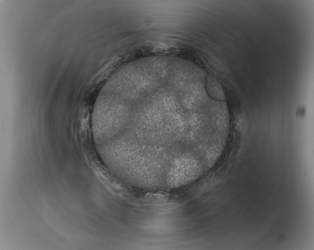 X0000114720914200911121729