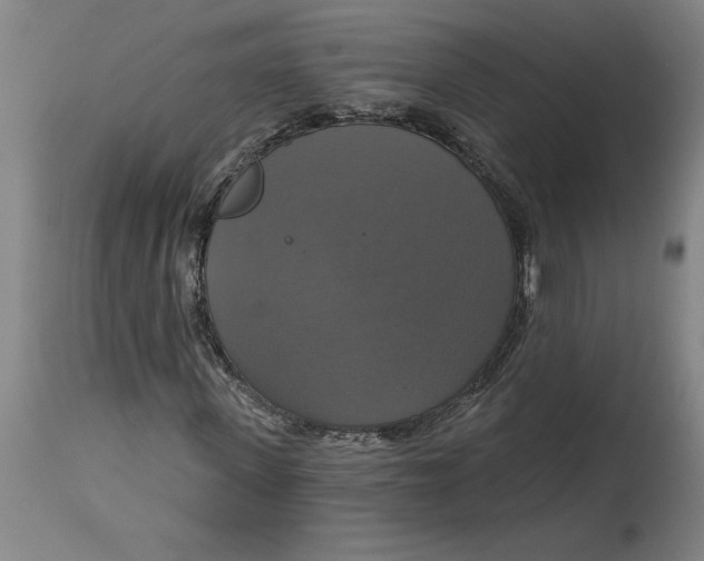 X0000114720915200911121729