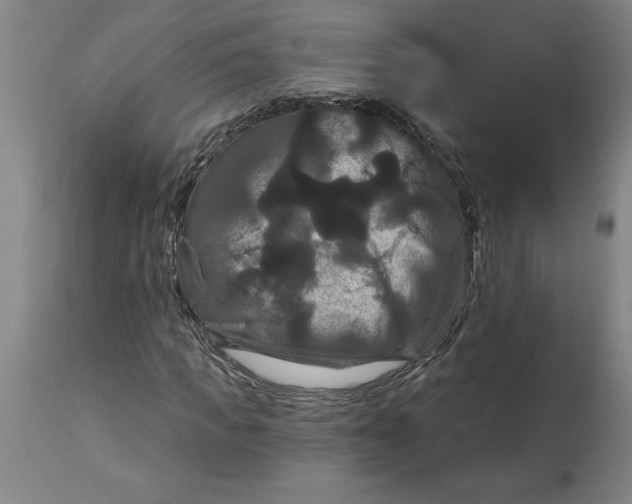 X0000114720917200911121729