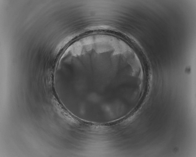 X0000114720921200911121729