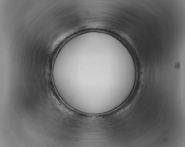 X0000114720922200911121729