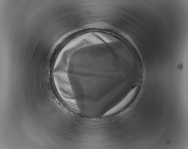 X0000114720923200911121729