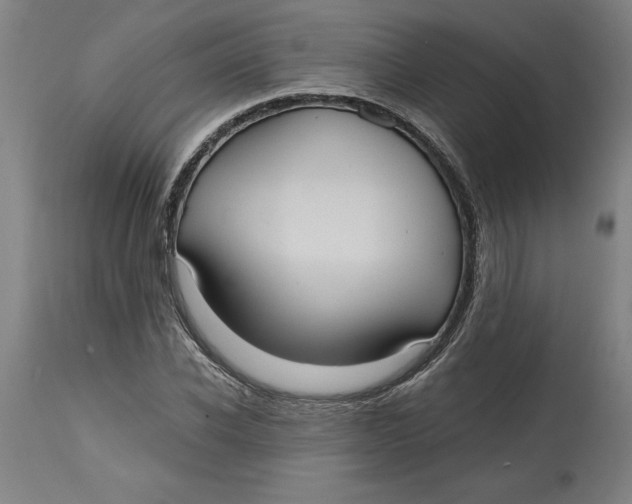 X0000114720926200911121729