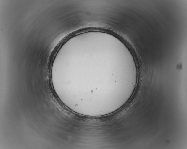 X0000114720927200911121729