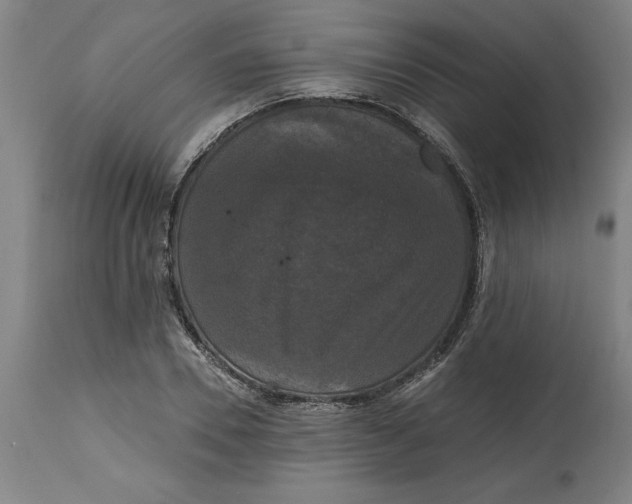 X0000114720930200911121729