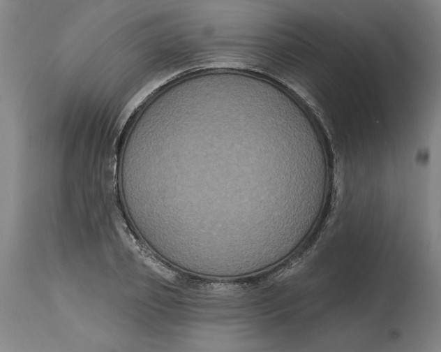 X0000114720933200911121729