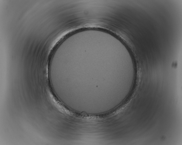 X0000114720934200911121729