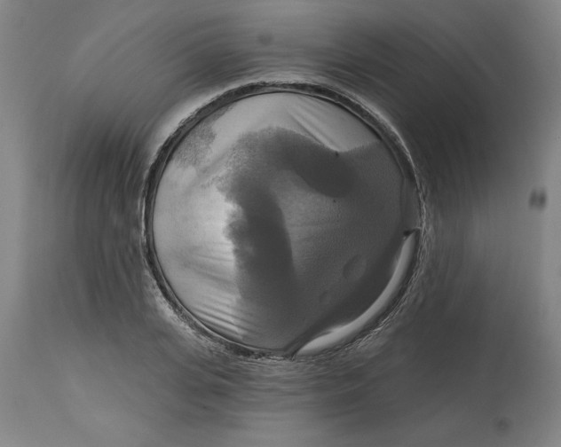 X0000114720935200911121729