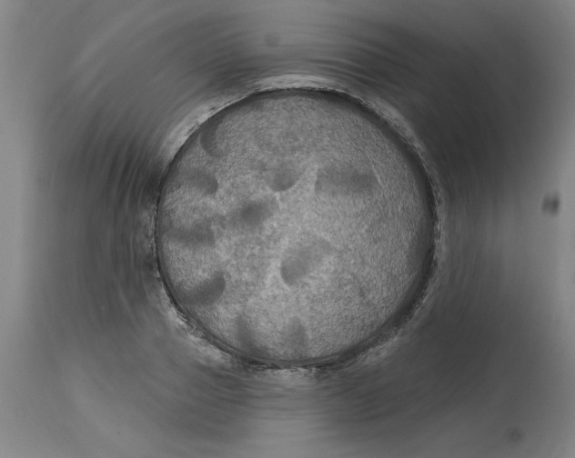 X0000114720937200911121729