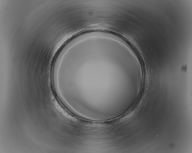 X0000114720941200911121729