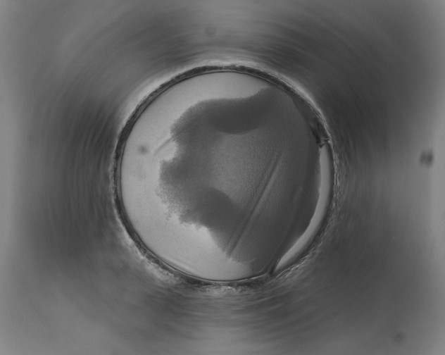 X0000114720943200911121729