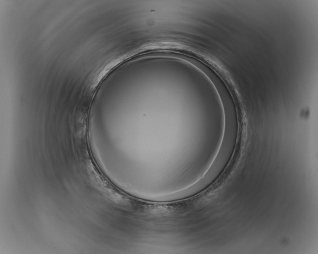 X0000114720945200911121729