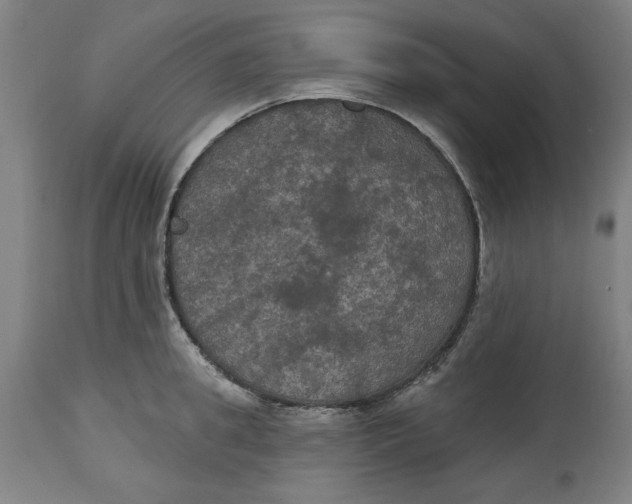 X0000114720949200911121729