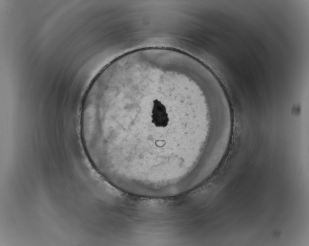 X0000114720950200911121729