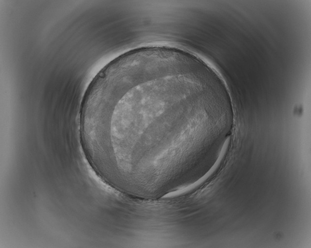 X0000114720951200911121729