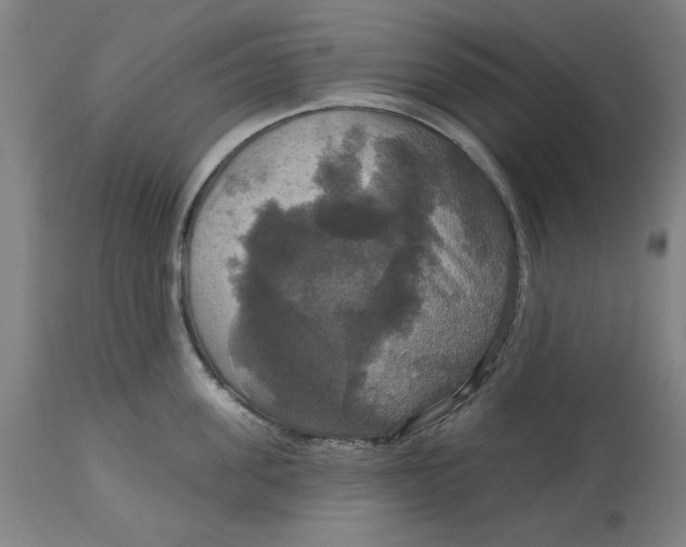 X0000114720955200911121730