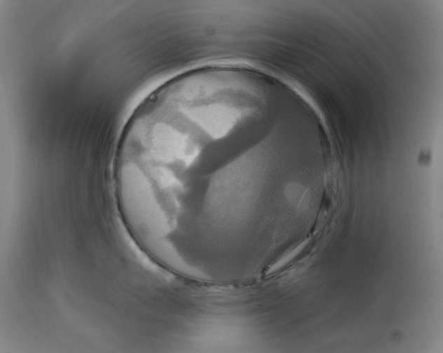 X0000114720959200911121730