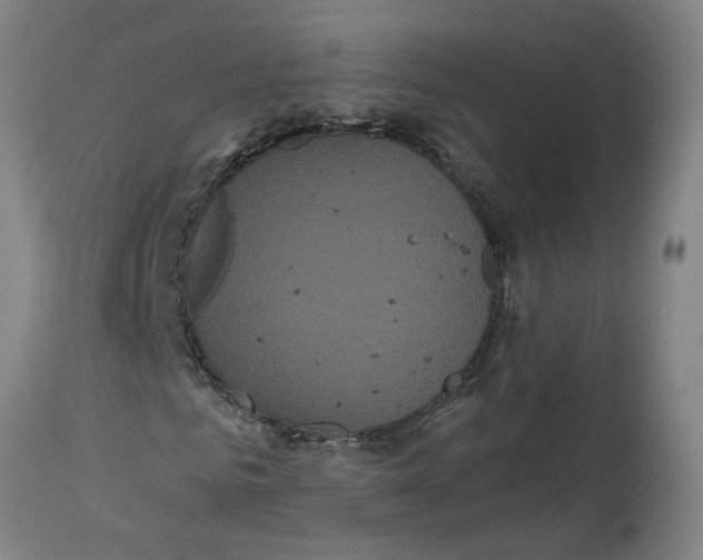 X0000114720961200911121729