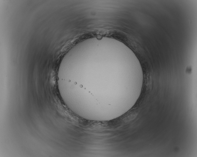 X0000114720962200911121729