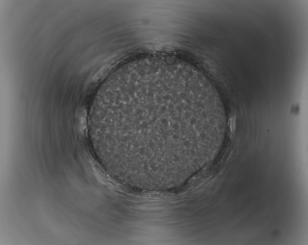 X0000114720963200911121729