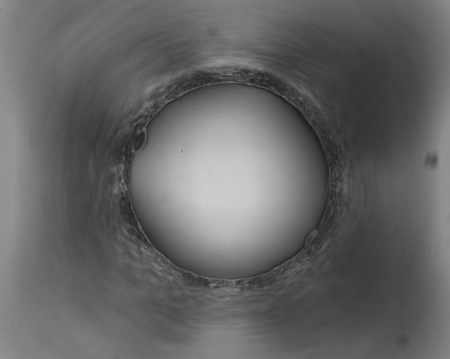 X0000114720965200911121729