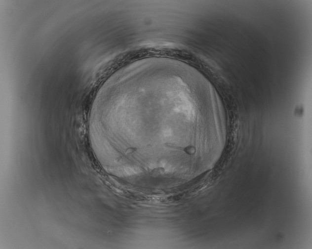 X0000114720966200911121729