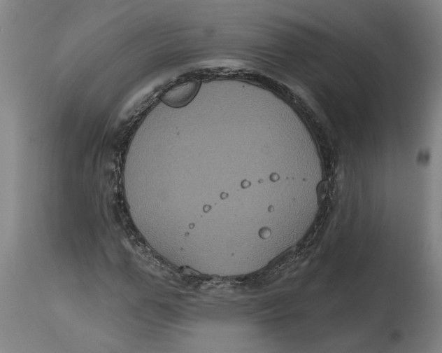 X0000114720967200911121729