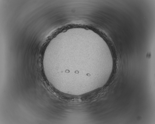 X0000114720968200911121729