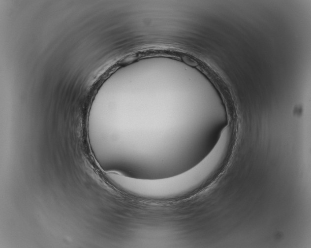 X0000114720969200911121729