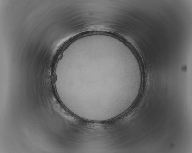 X0000114720971200911121729