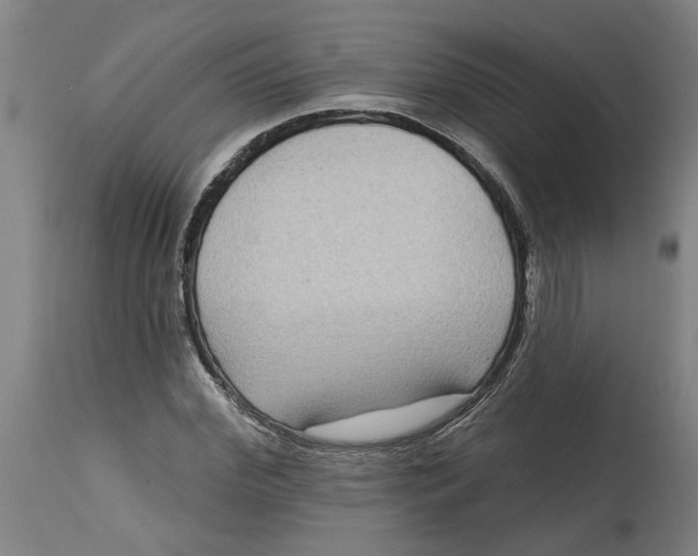 X0000114720972200911121729