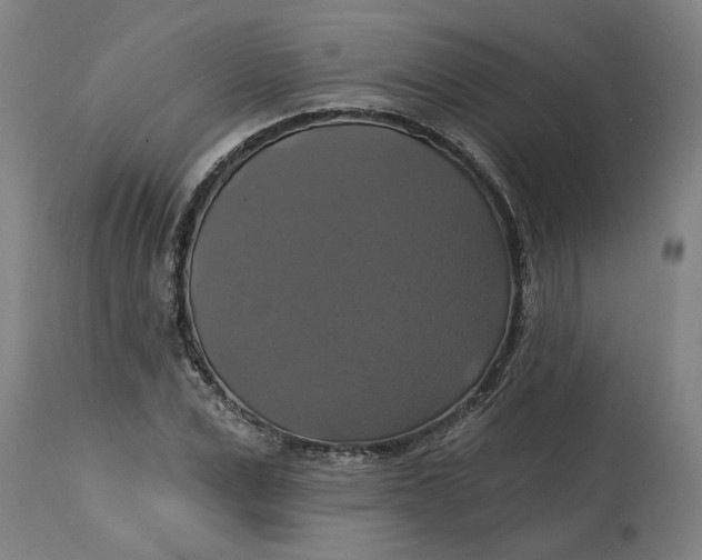 X0000114720975200911121729