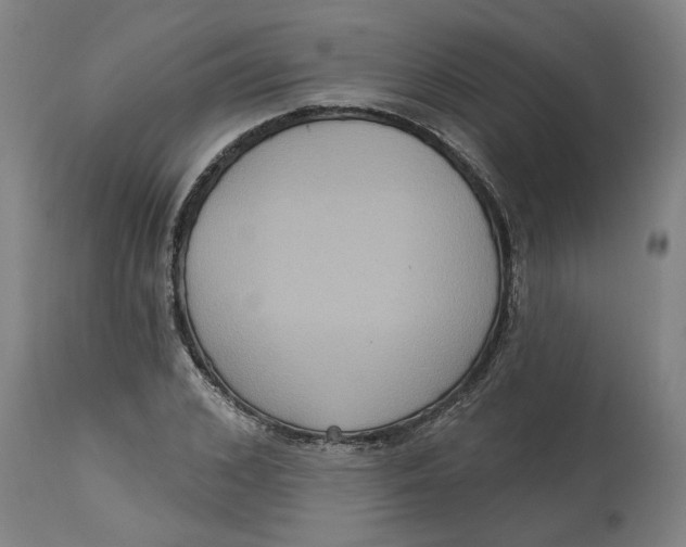 X0000114720976200911121729