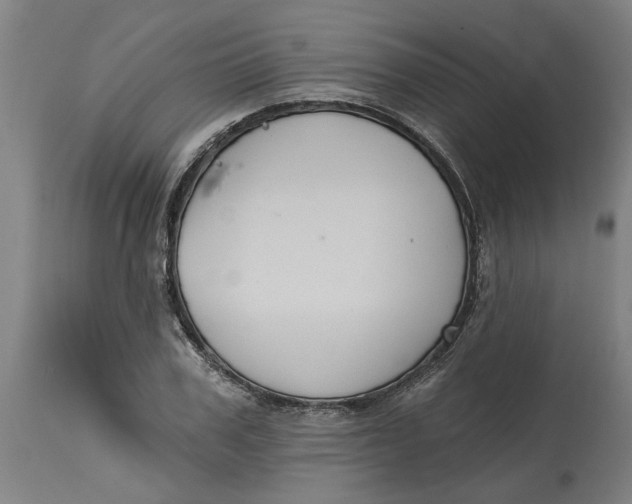 X0000114720979200911121729