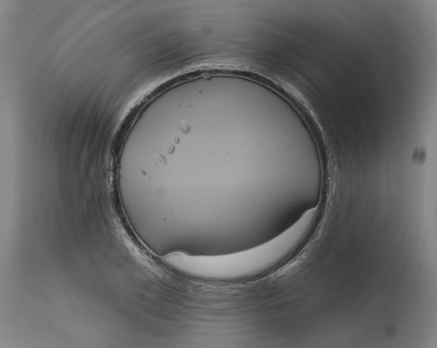 X0000114720981200911121729