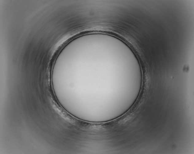 X0000114720982200911121729