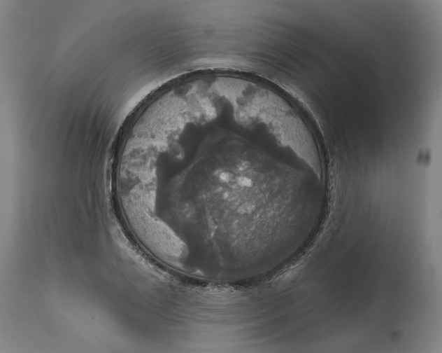 X0000114720983200911121729