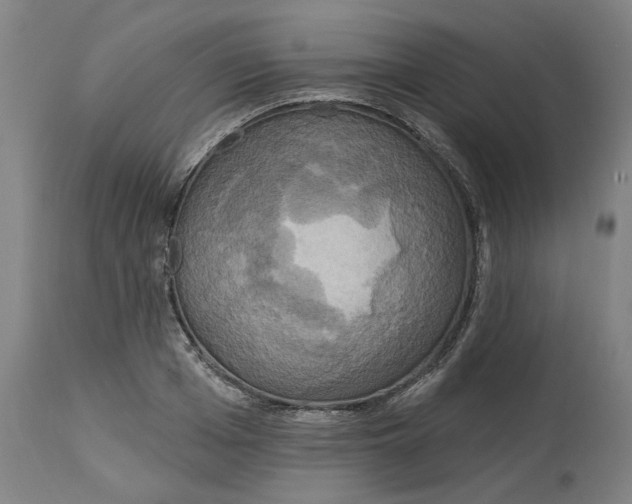 X0000114720985200911121729