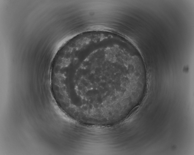 X0000114720987200911121729