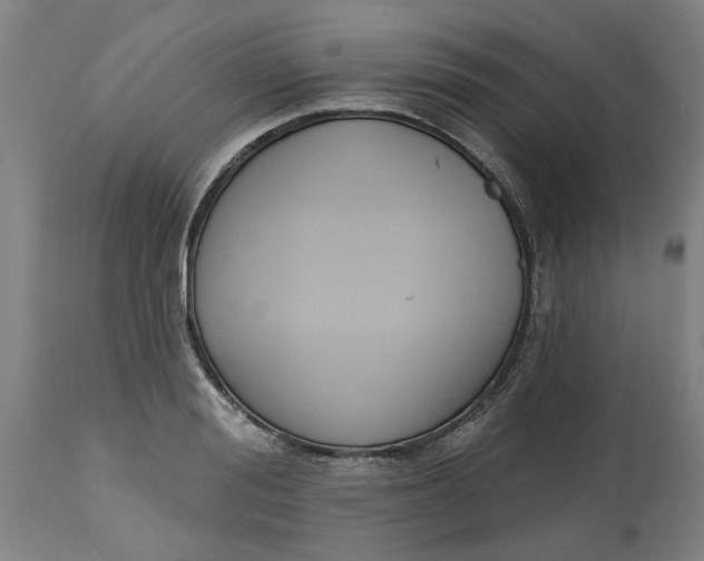 X0000114720988200911121729