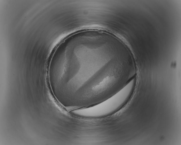 X0000114720989200911121729