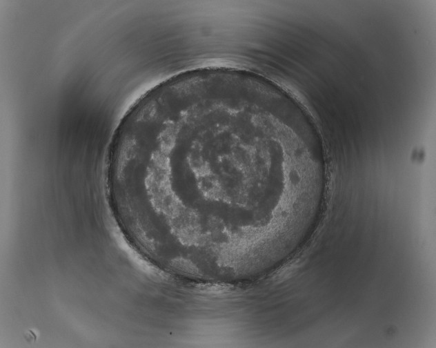 X0000114720991200911121729