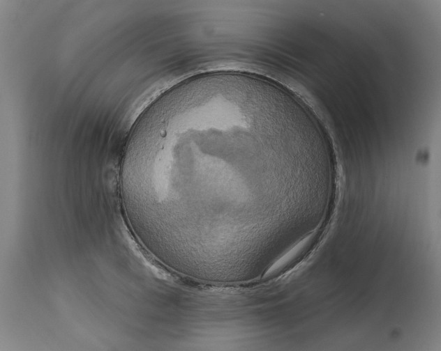 X0000114720993200911121728