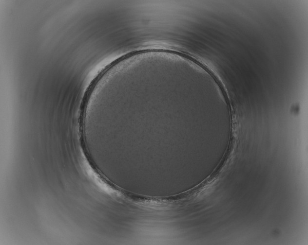 X0000114720995200911121728