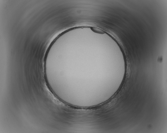 X0000114720996200911121728