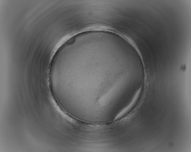 X0000114720997200911121728